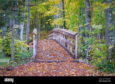 chequamegon nicolet national forest